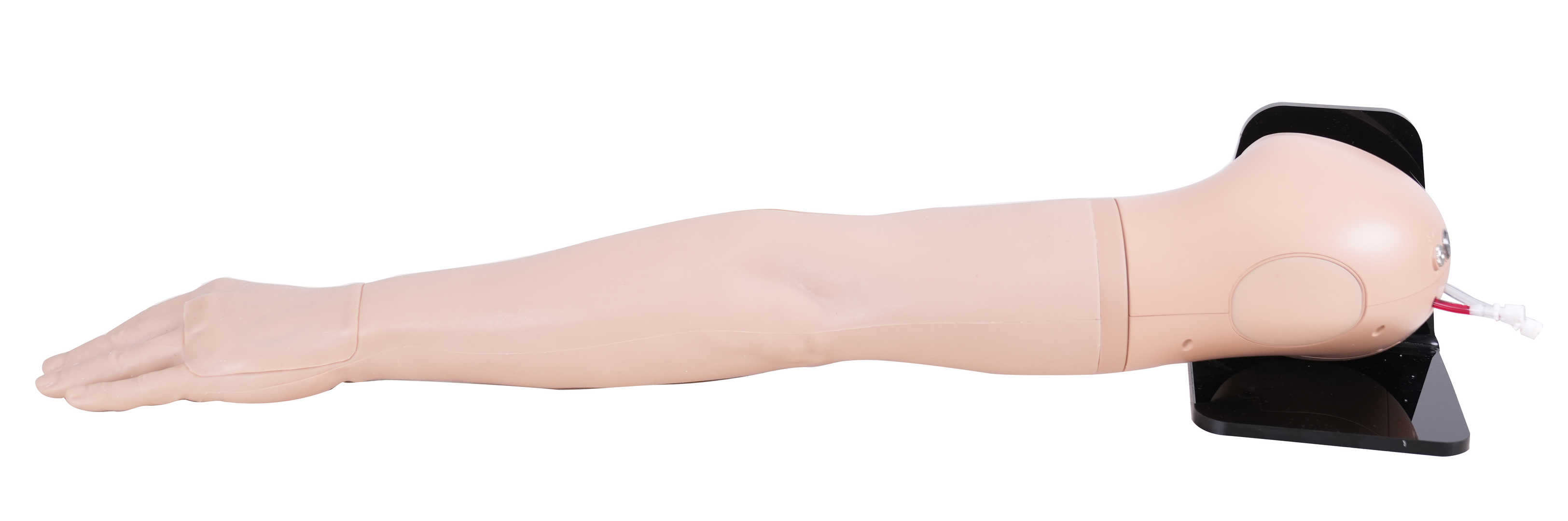 Advanced IV Training Arm-Left