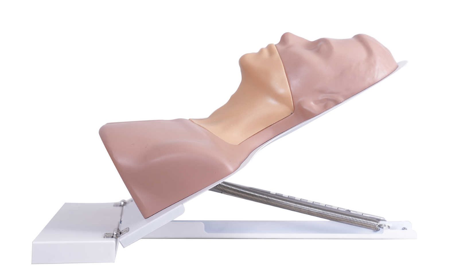 Thyroid Ultrasound Training Model